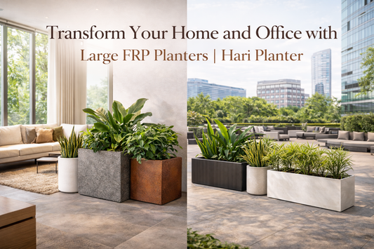 Transform Your Home and Office with Large FRP Planters | Hari Planter