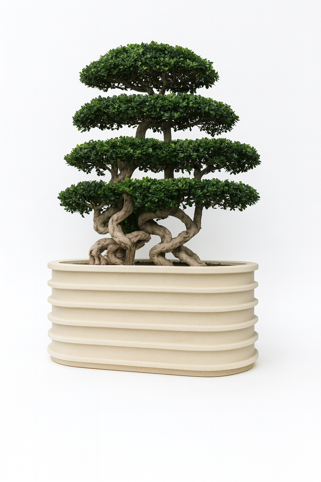 Sku-50 | GardenAura