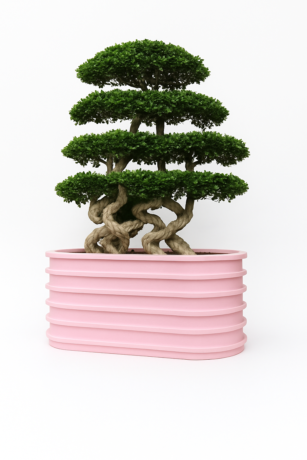 Sku-50 | GardenAura