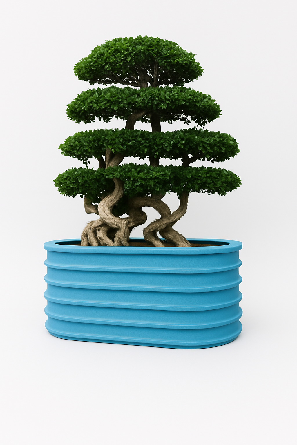 Sku-50 | GardenAura