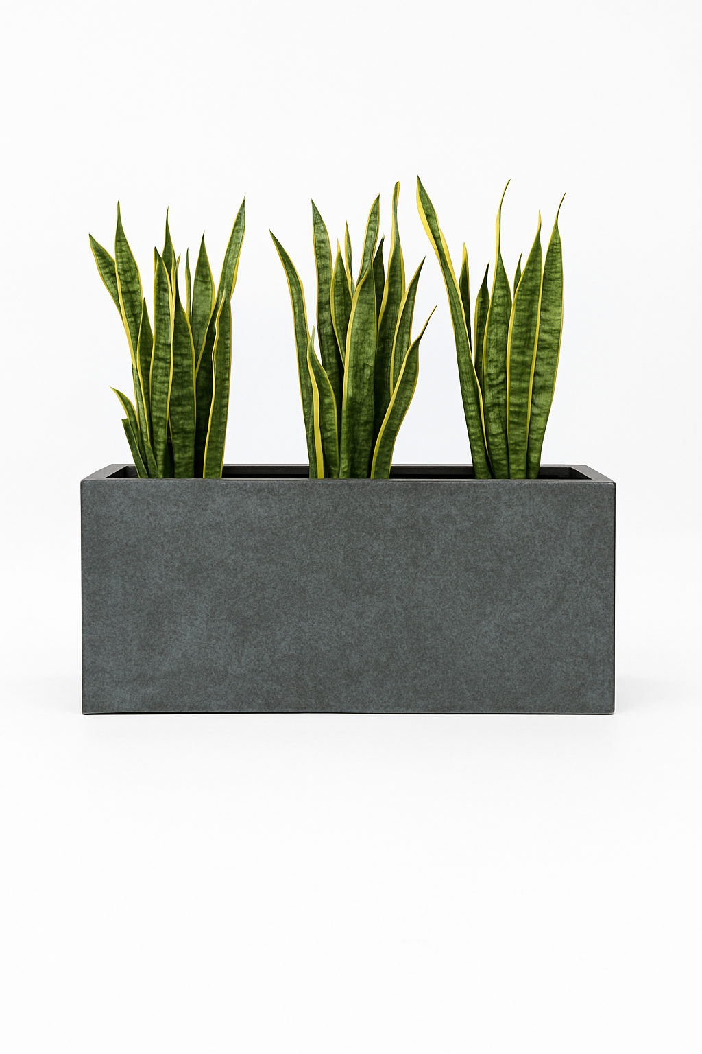Sku-46 | Granite Glow