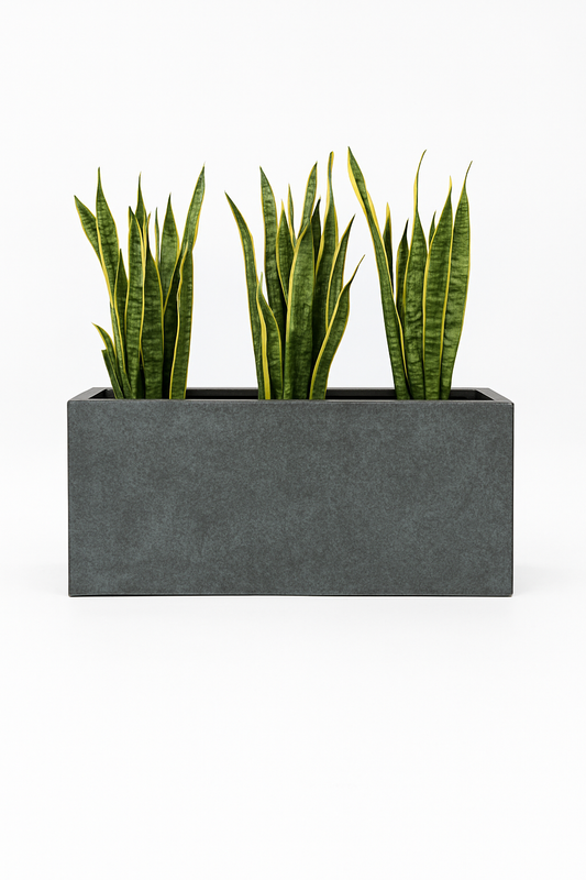 Sku-46 | Granite Glow