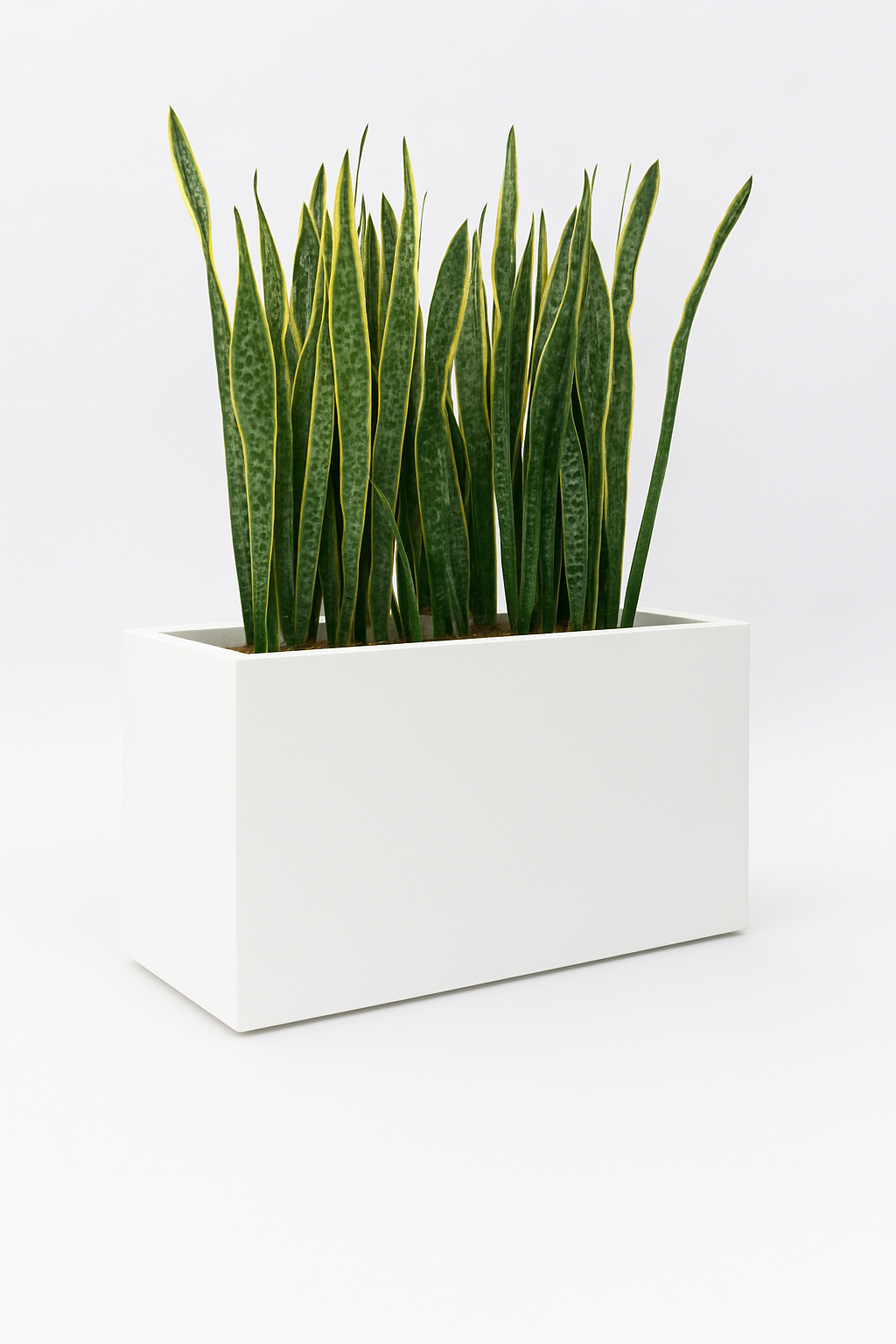 Sku-47 | Earth Crest