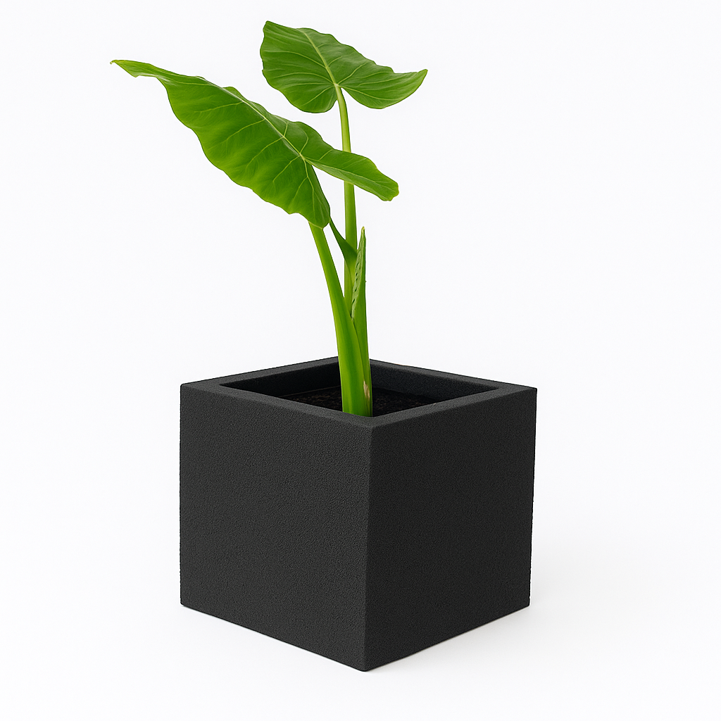 SKU-03   | Cuboid