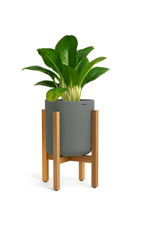 SKU-22 | Wooden Rest