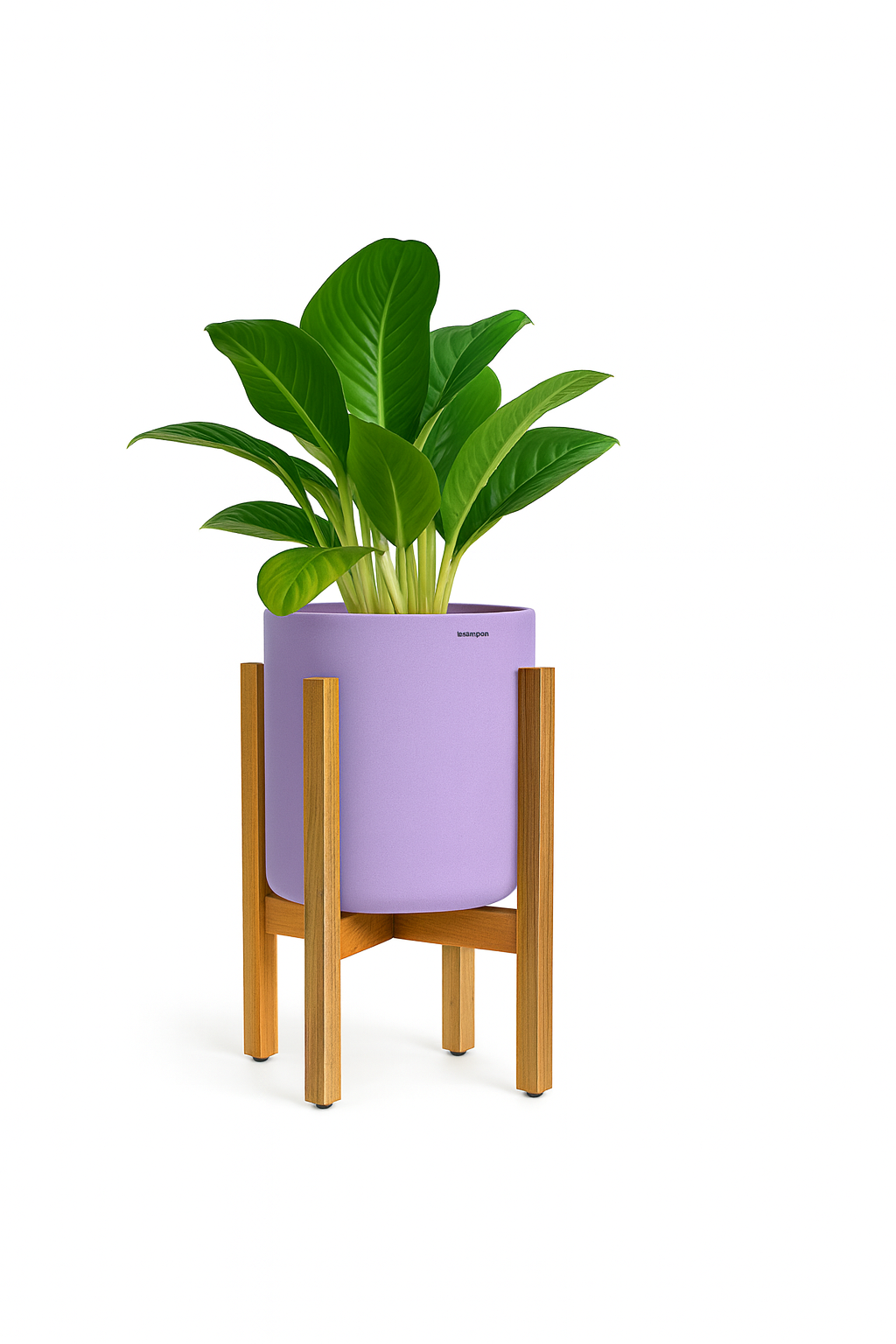 SKU-22 | Wooden Rest