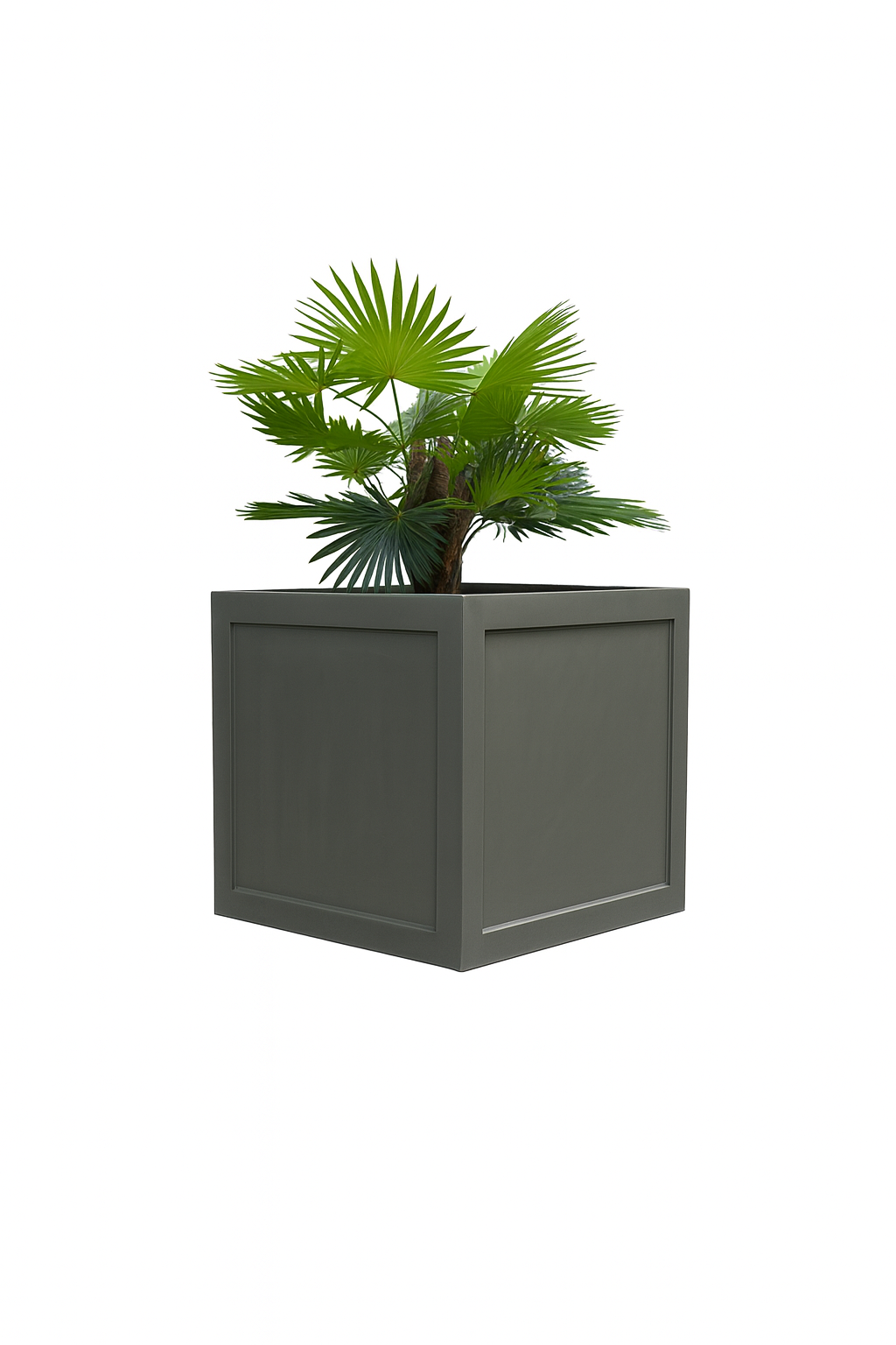Sku-30 | Raw Stone
