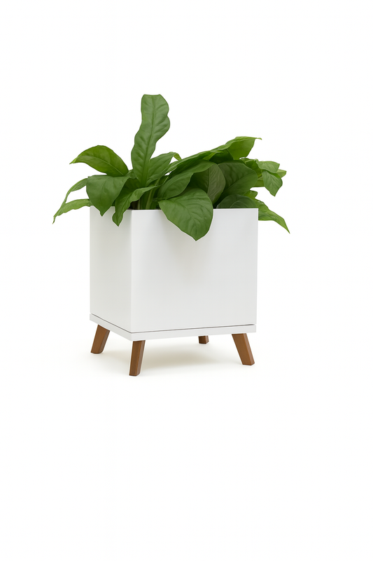 SKU-23 | Cube Box