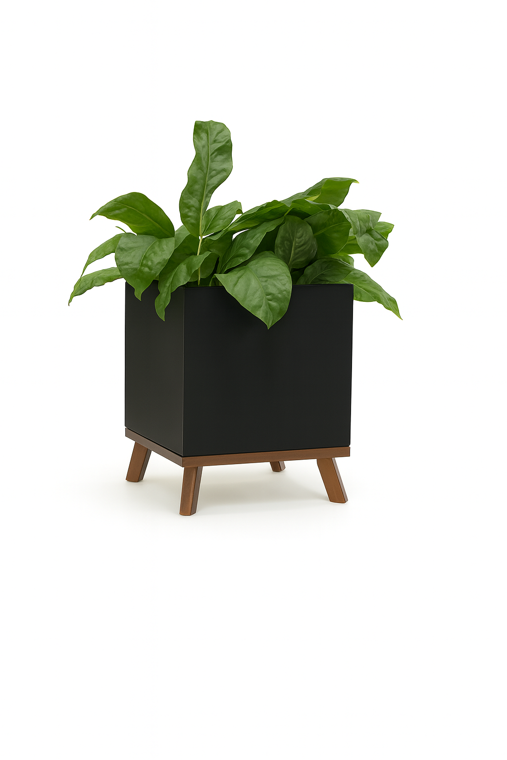 SKU-23 | Cube Box