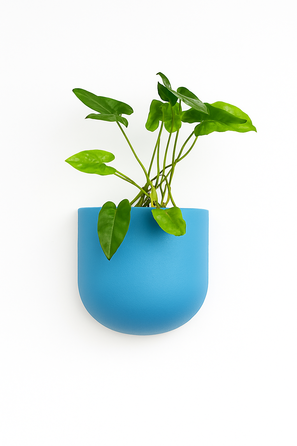 Sku-40 | Vertical Planter