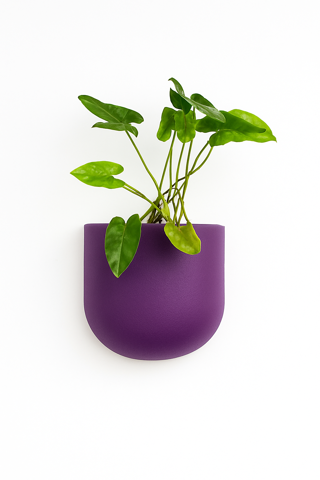 Sku-40 | Vertical Planter