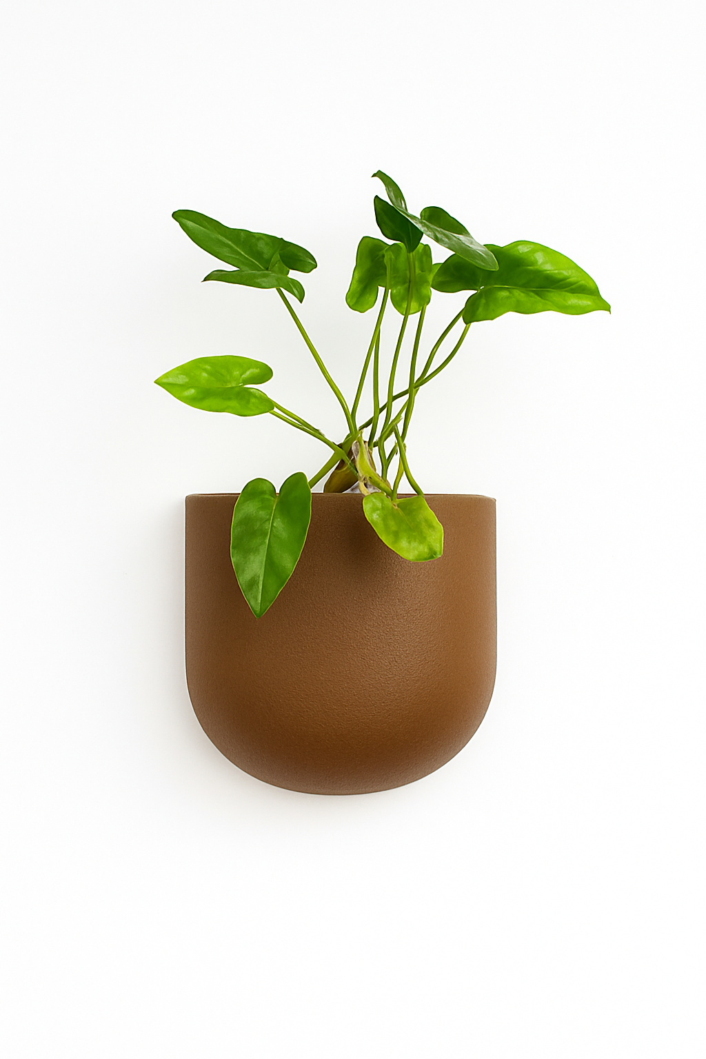 Sku-40 | Vertical Planter