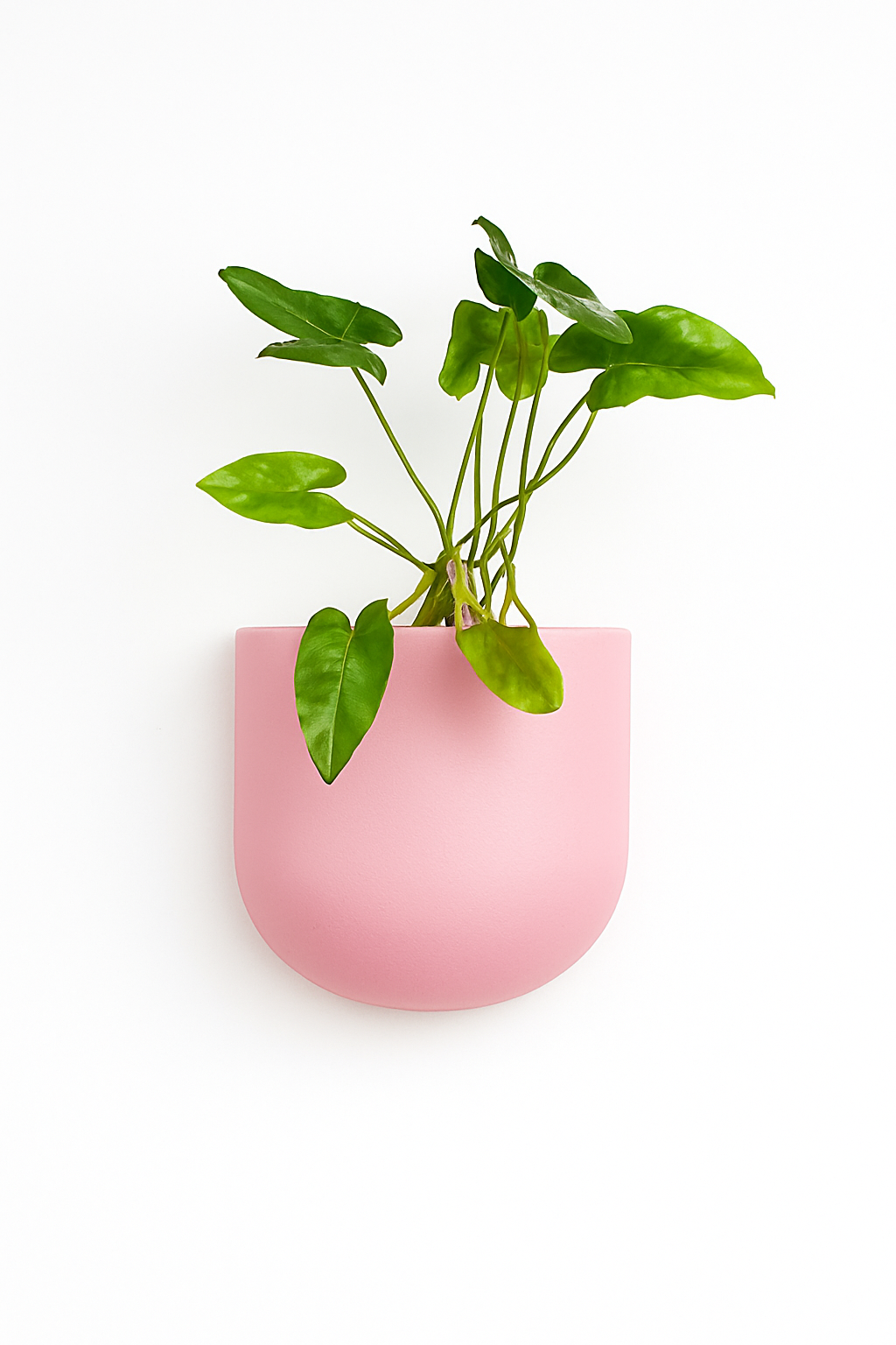 Sku-40 | Vertical Planter