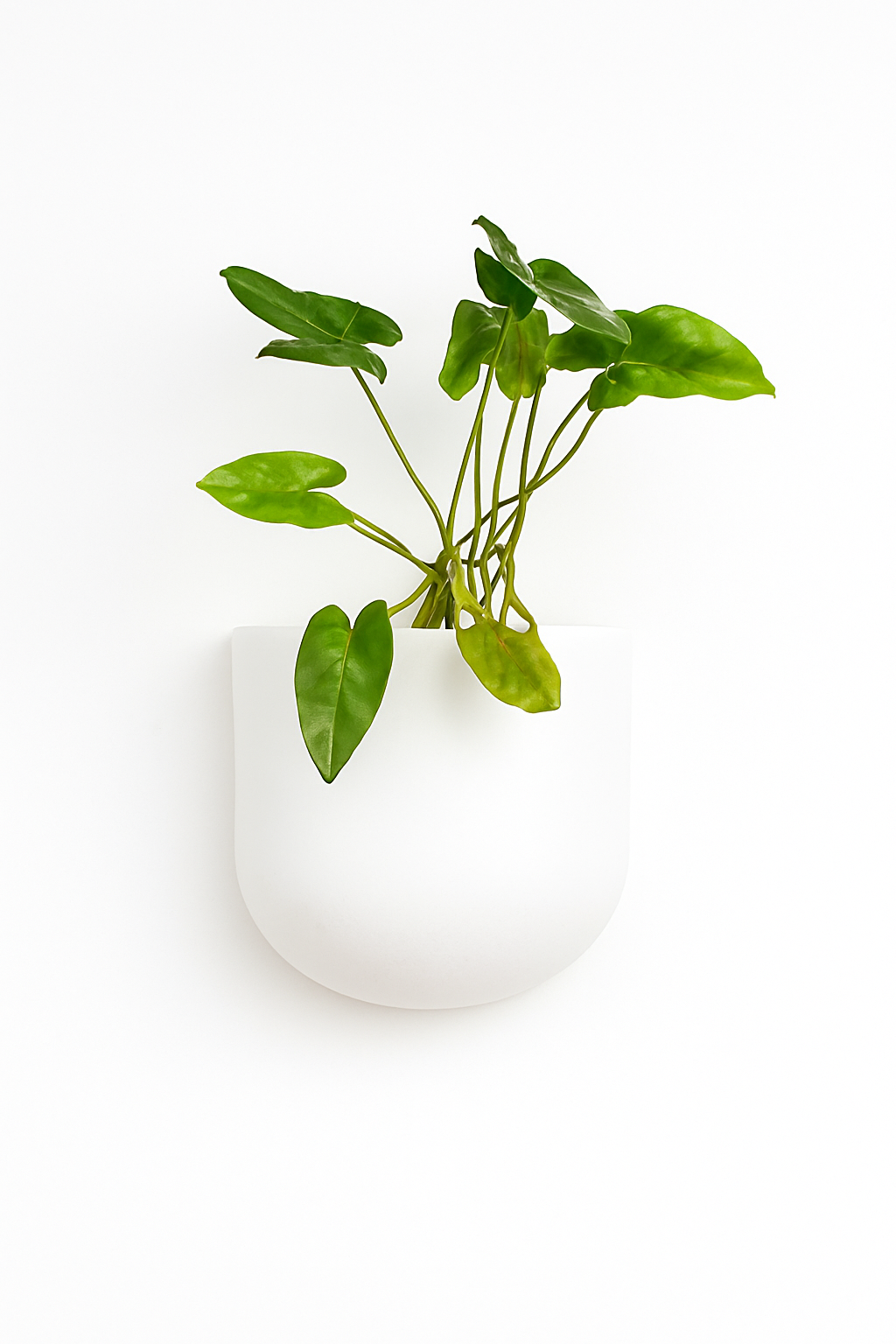 Sku-40 | Vertical Planter