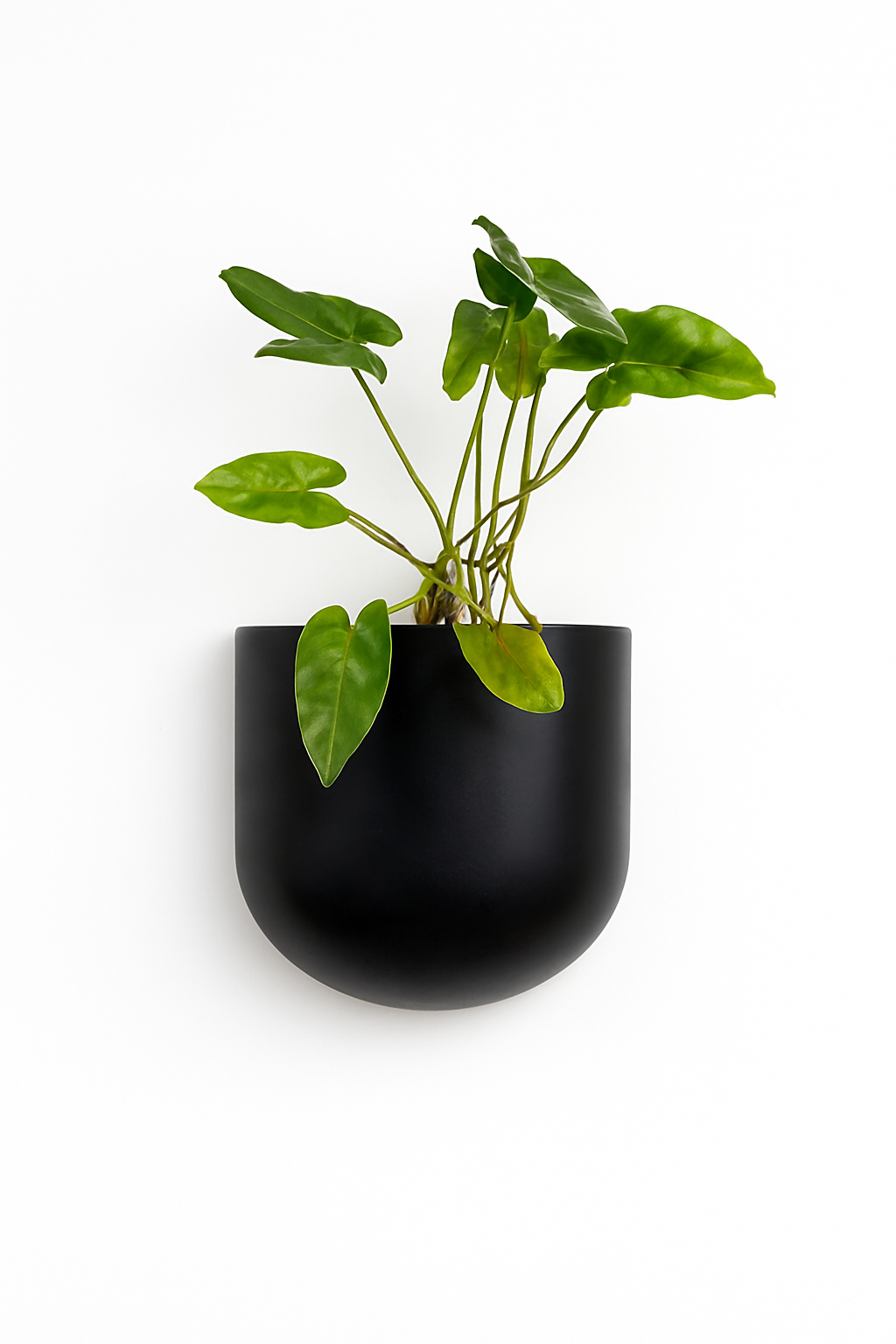 Sku-40 | Vertical Planter