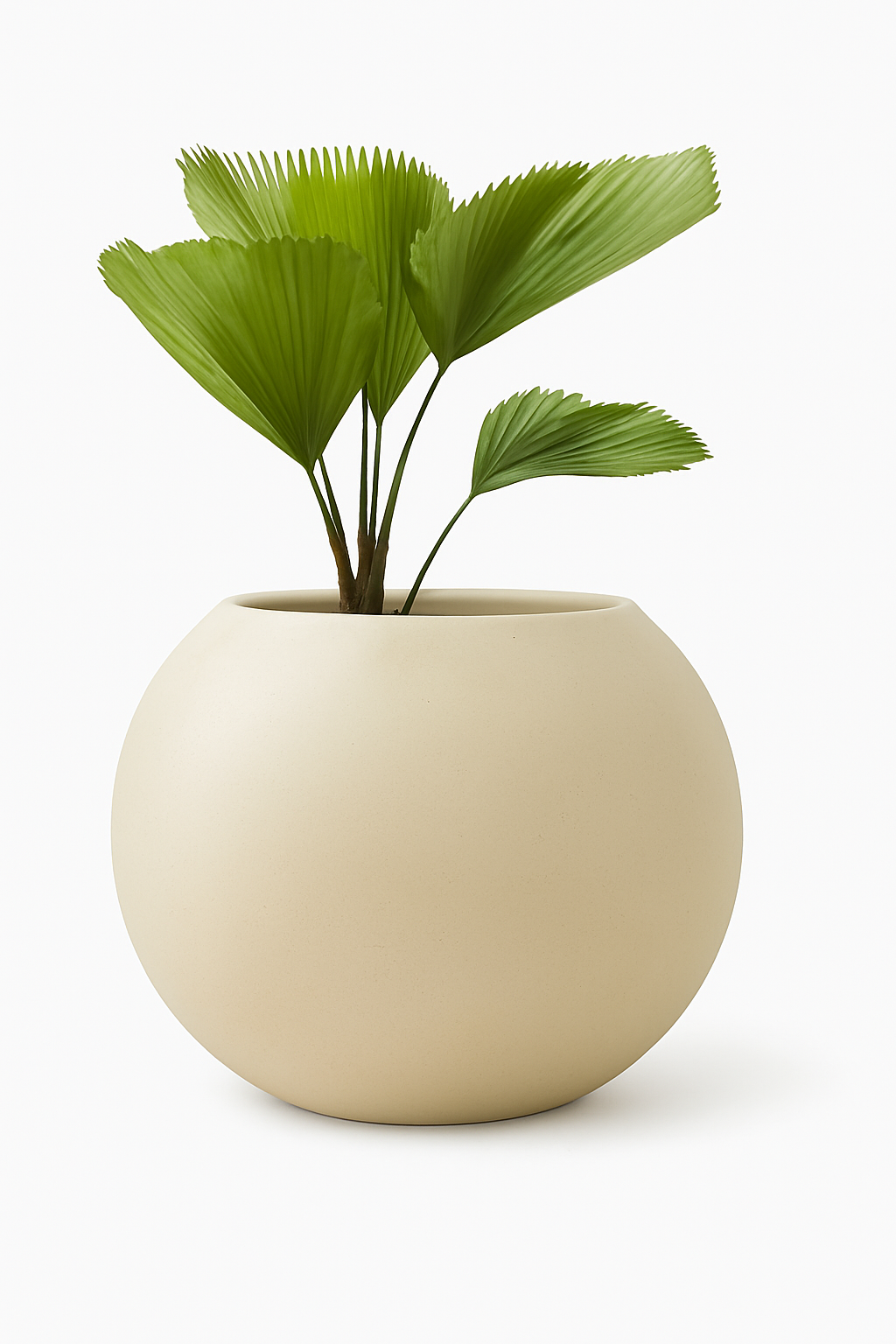 Sku-35 Outdoor Garden