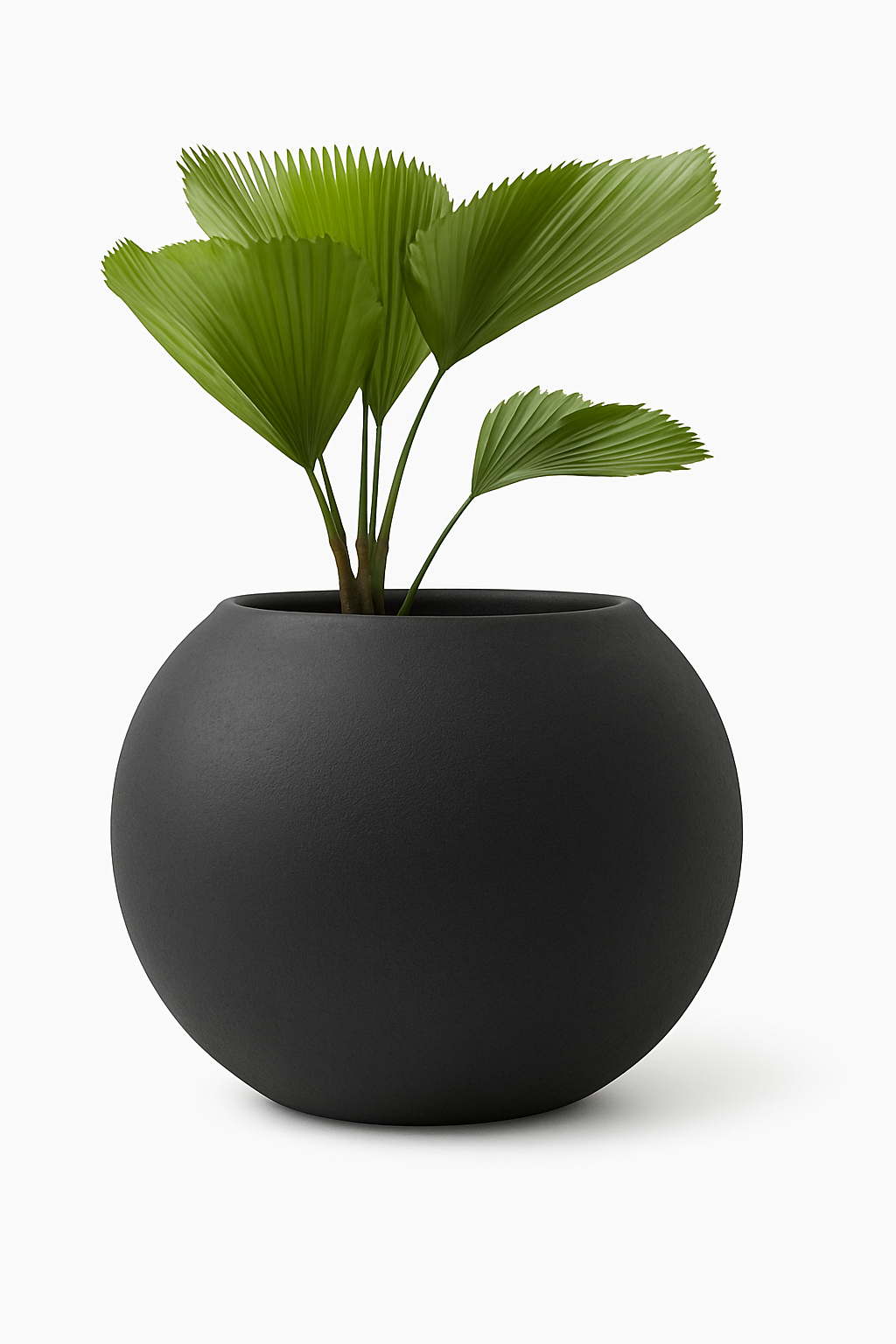 Sku-35 Outdoor Garden
