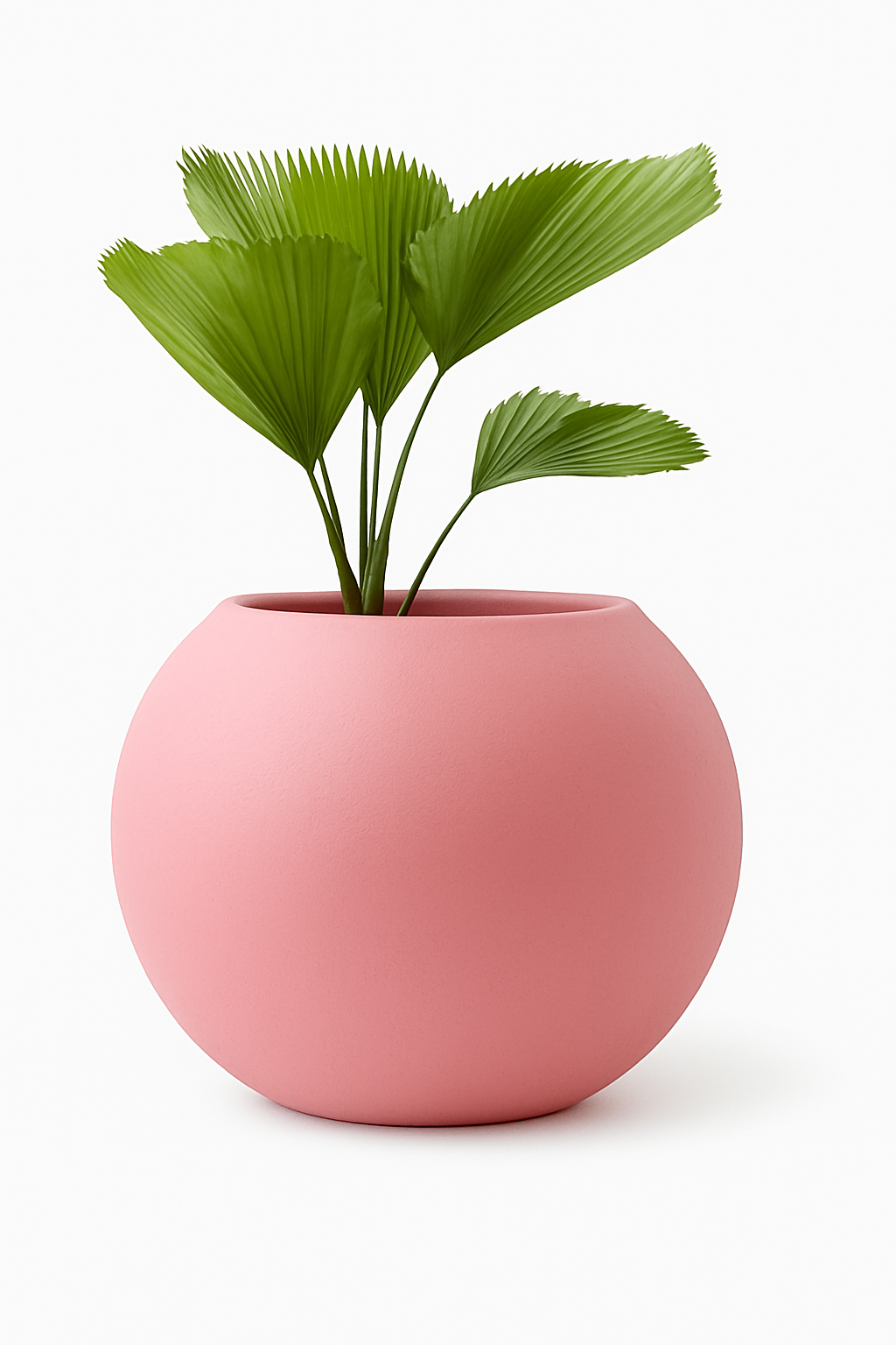 Sku-35 Outdoor Garden