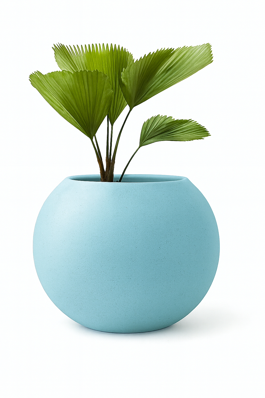 Sku-35 Outdoor Garden