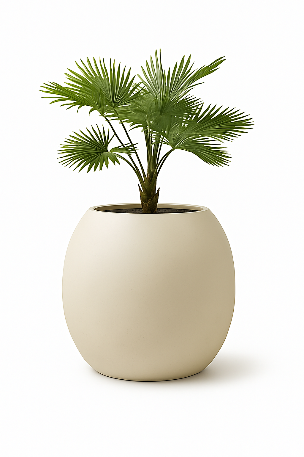 Sku-36 Big Planter