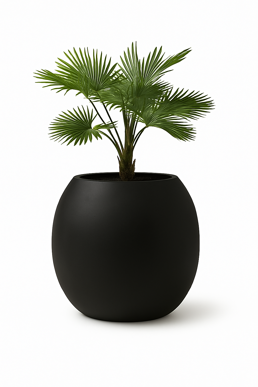 Sku-36 Big Planter