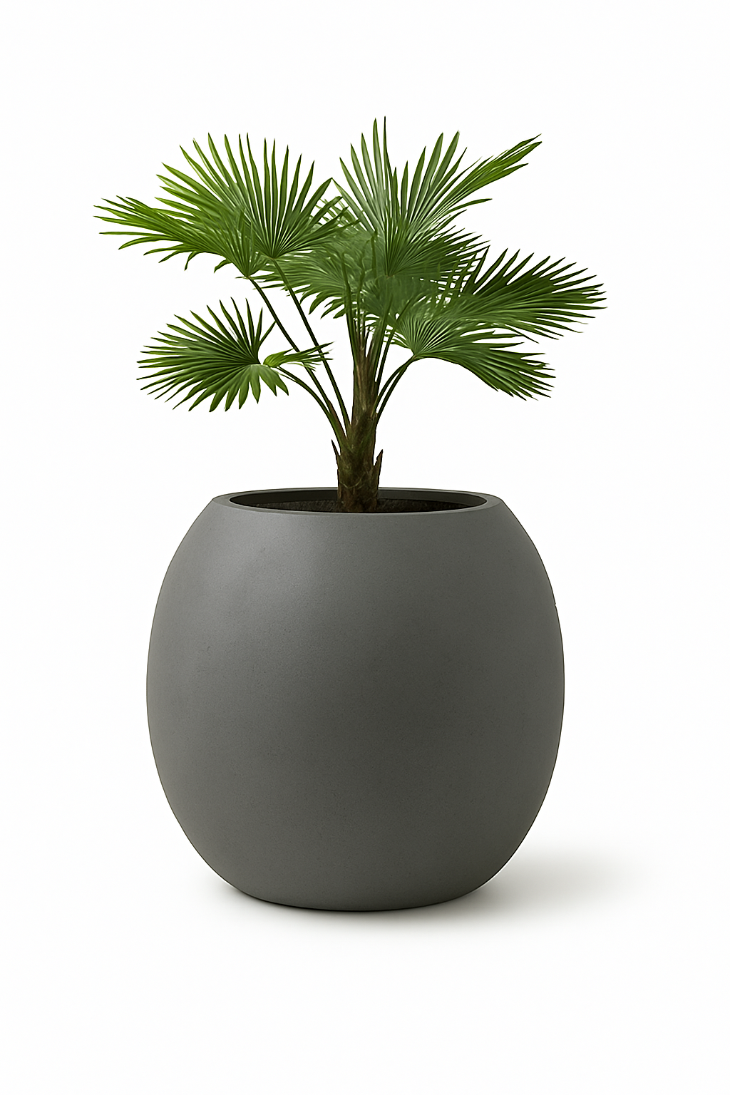 Sku-36 Big Planter