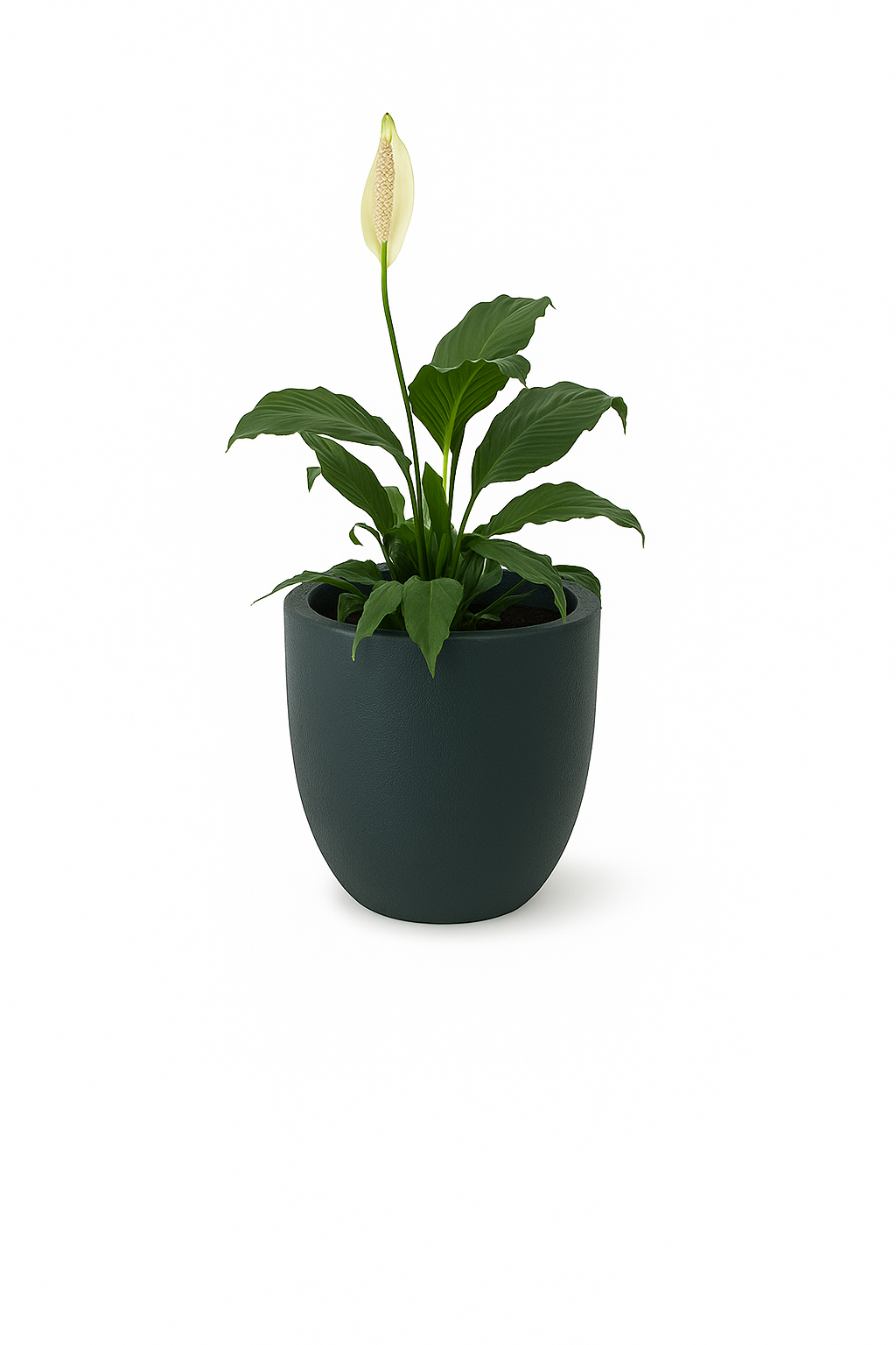 Sku-39 | Small Planter