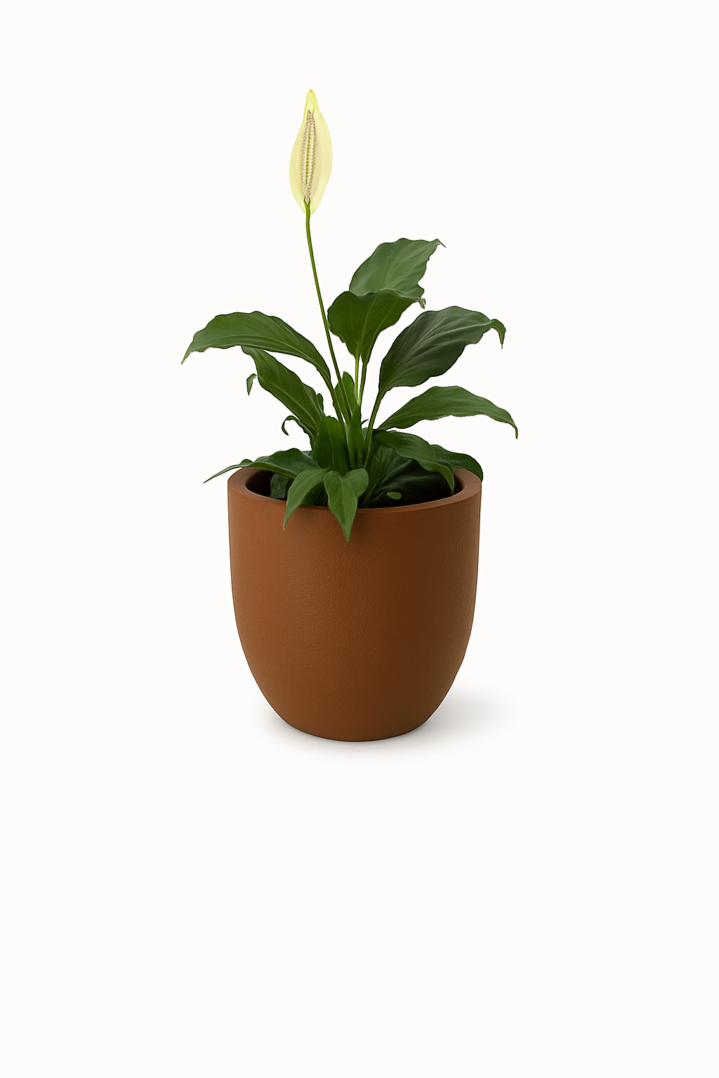 Sku-39 | Small Planter