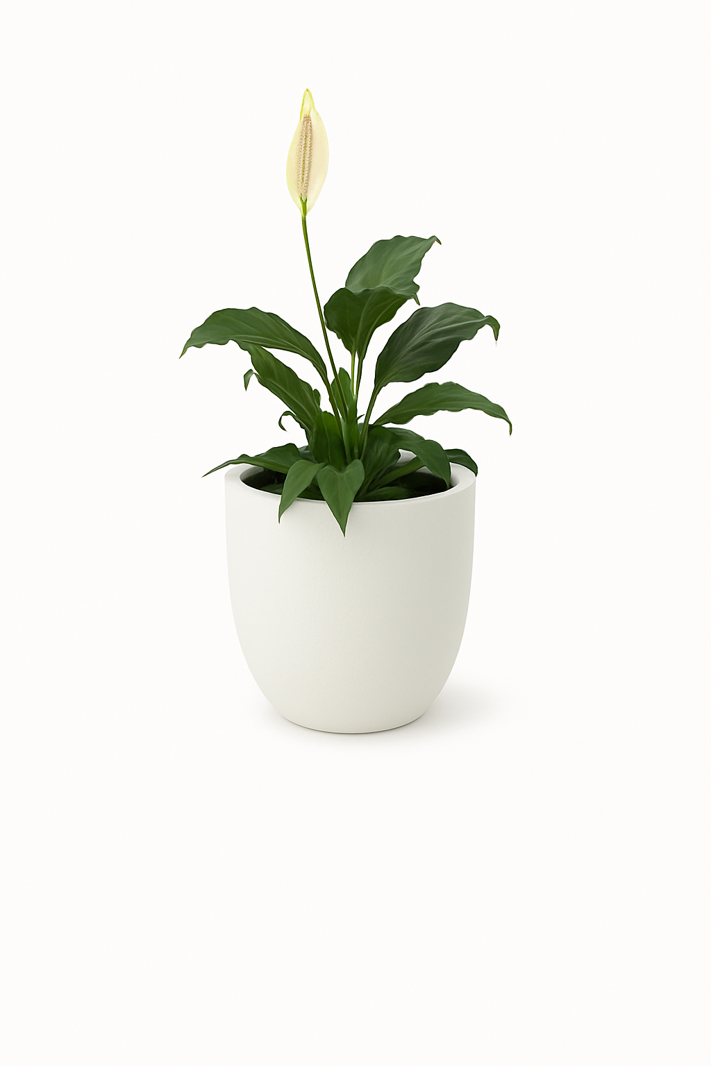 Sku-39 | Small Planter