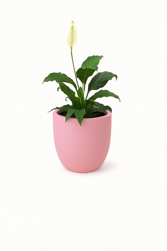 Sku-39 | Small Planter
