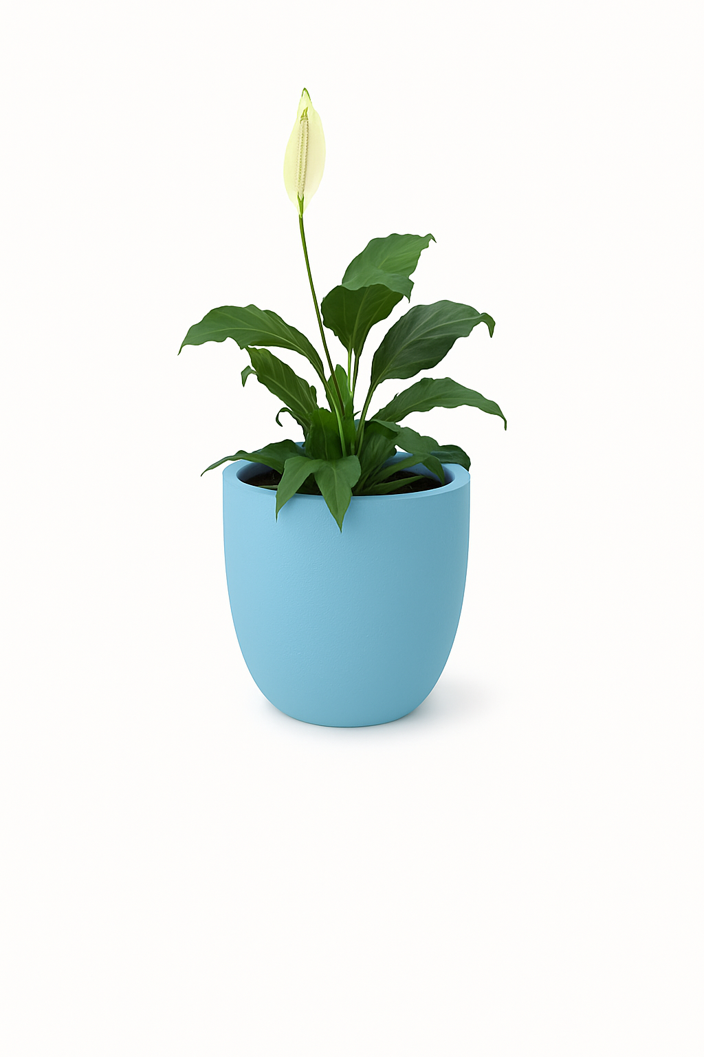 Sku-39 | Small Planter