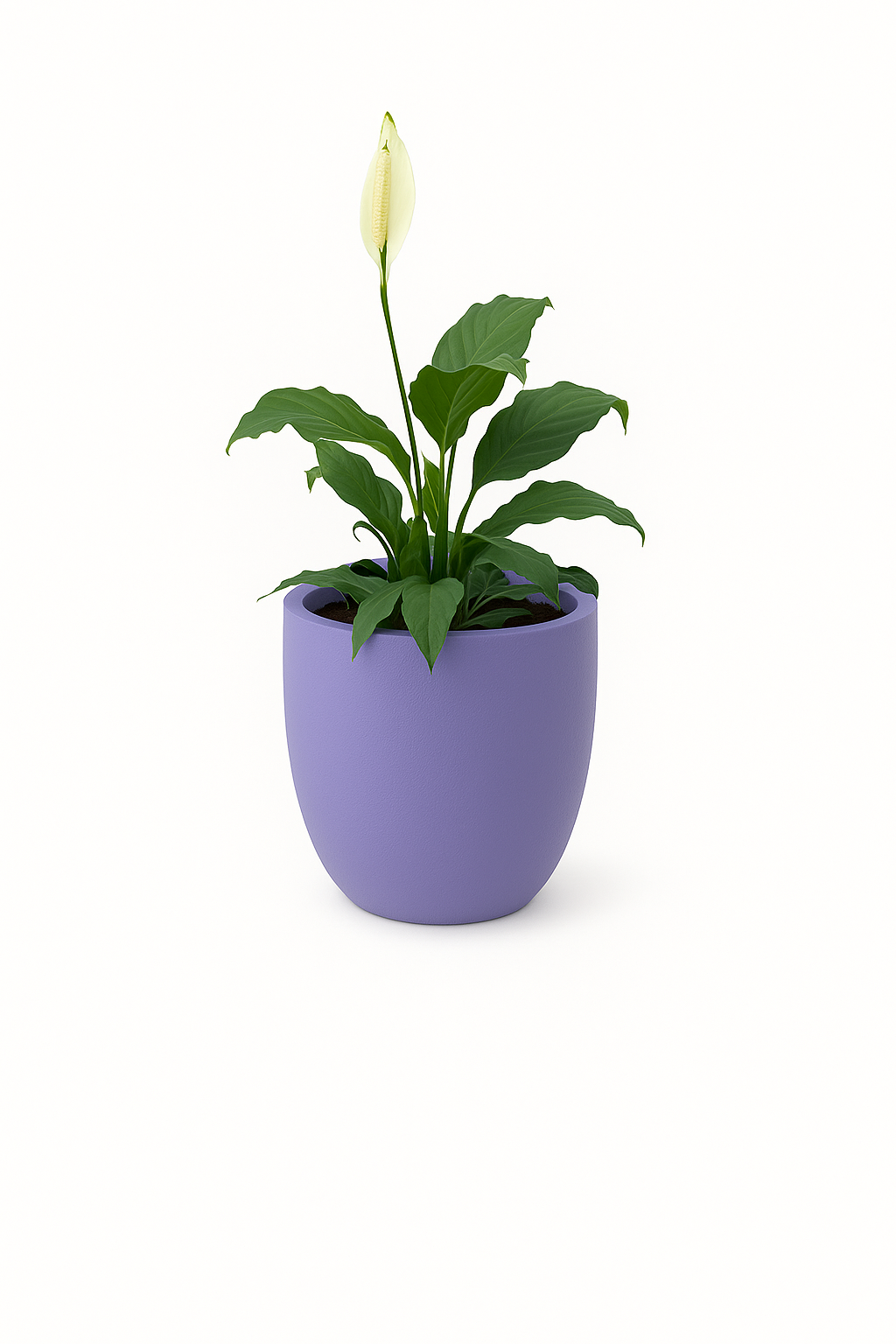Sku-39 | Small Planter
