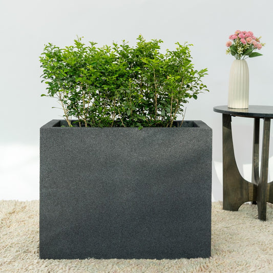 SKU-17 Fiberglass Rectungaler Modern Planter Real Stone Finish