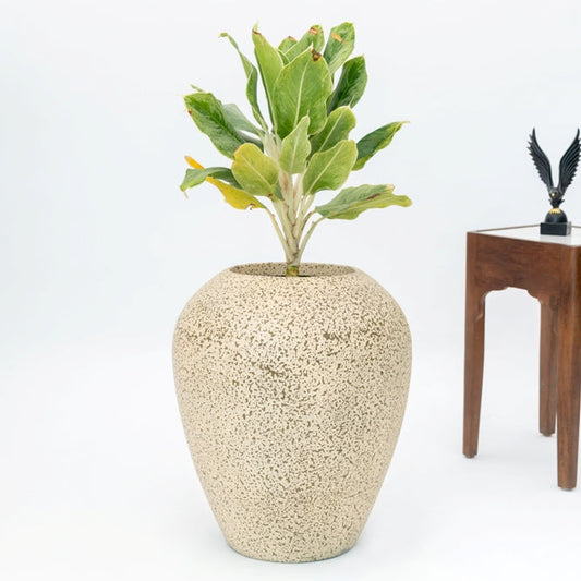 SKU-08 Fiberglass Round Modern Planter Texture Finish
