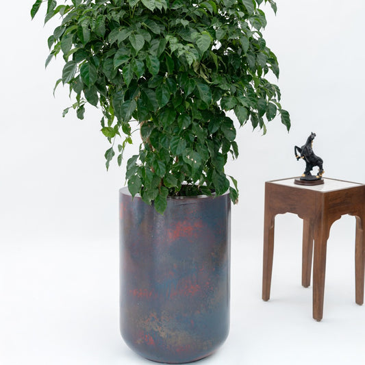 SKU-06 Fiberglass Round Modern Rustick Planter