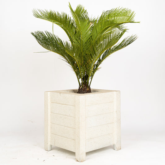 SKU-02 Fiberglass Square Modern Planter Real Stone Finish