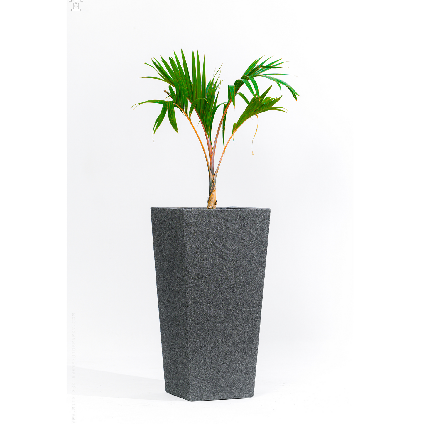 SKU-04 Fiberglass Square Modern Planter Real Stone Finish