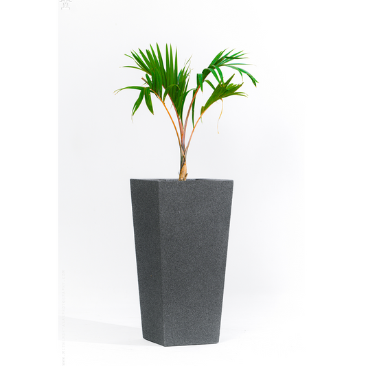 SKU-04 Fiberglass Square Modern Planter Real Stone Finish