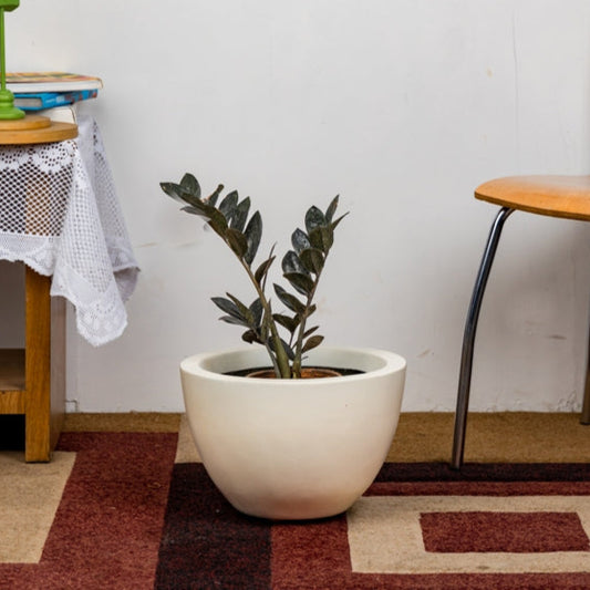 SKU-09 Fiberglass Round Modern Planter Texture Finish