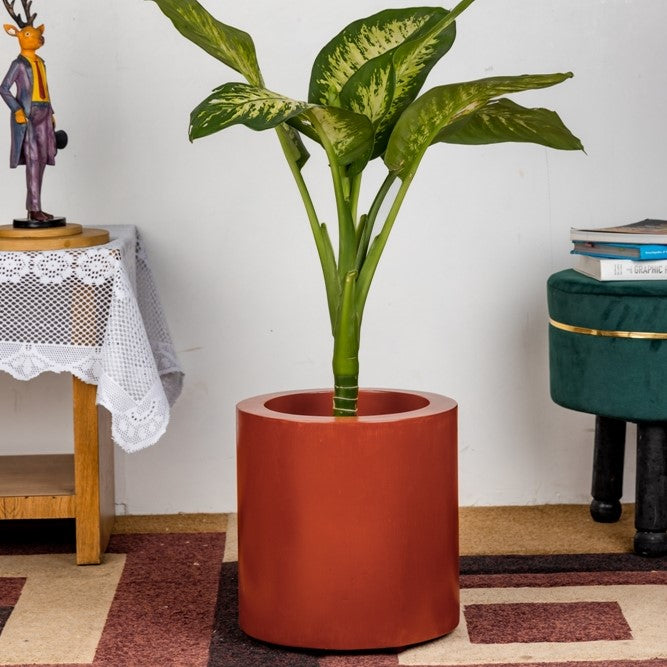 SKU-10 Fiberglass Round Modern Planter Texture Finish