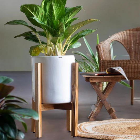 SKU-22 Fiberglass Round Modern Planter Texture Finish Wooden Rest