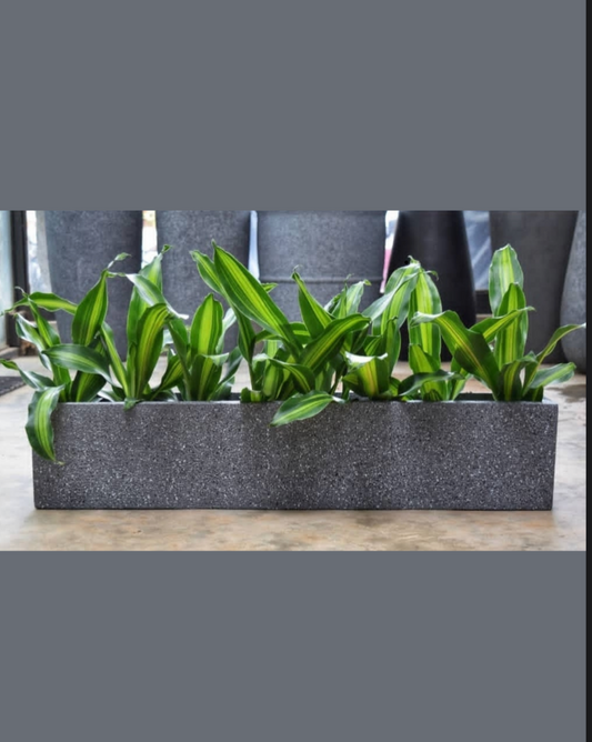 SKU-28 Long Multi-Slot FRP Planter – Modern Linear Planter for Indoor & Outdoor Décor