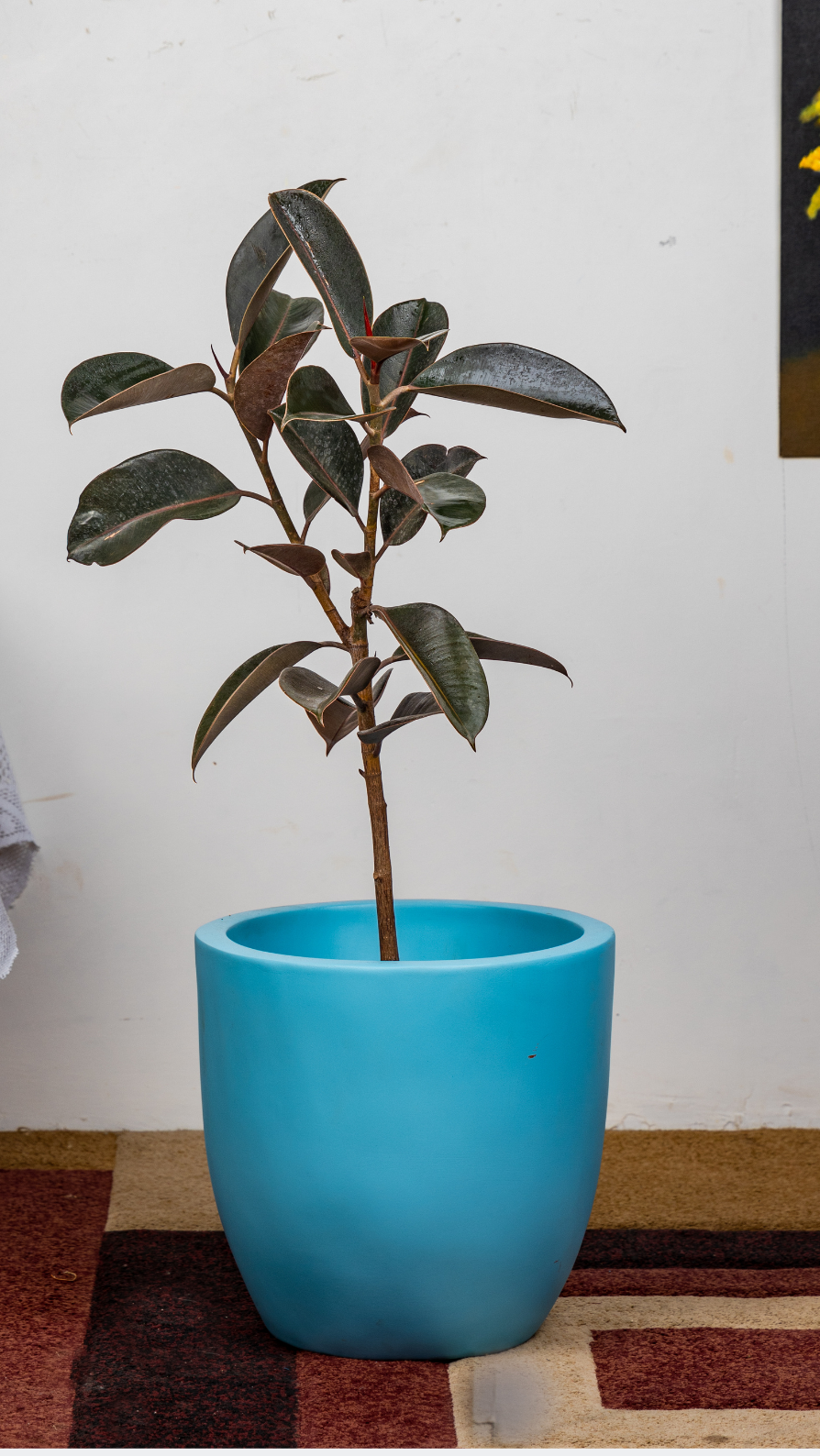 Sku-39 | Small Planter