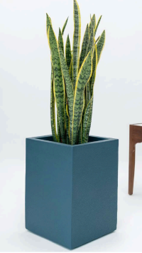 Sku-44 Teal Blue Square FRP Planter – Modern Minimalist Pot for Indoor & Outdoor Décor