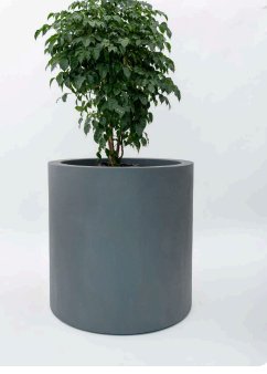 Sku-51 Tonevista Planter