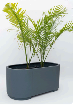 Sku-54 Oval Grey FRP Planter – Modern Minimal Large Designer Pot